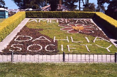 Golden Gate Park - Dahlia Gardens