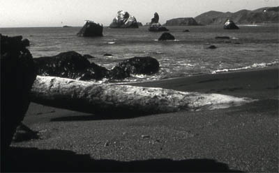 November 2003 - Northern California Coast