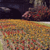 Golden Gate Park - Dahlia Gardens