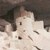 Mesa Verde, Colorado