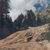 Rocky Mountain, Colorado